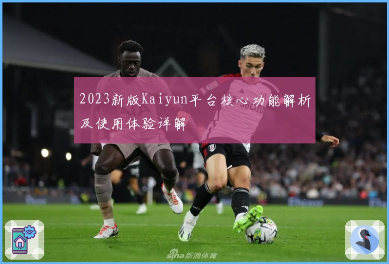 2023新版Kaiyun平台核心功能解析及使用体验详解